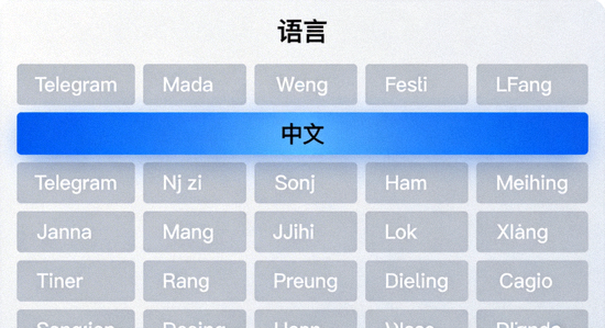 Telegram Desktop 语言选择列表，高亮显示中文选项